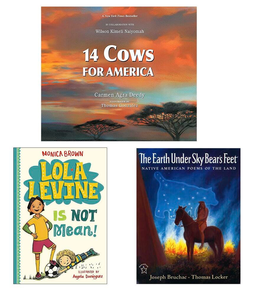 Achieve It! Book Collection, Multicultural Perspectives, Grade 3, Set of 30, Item Number 2096638
